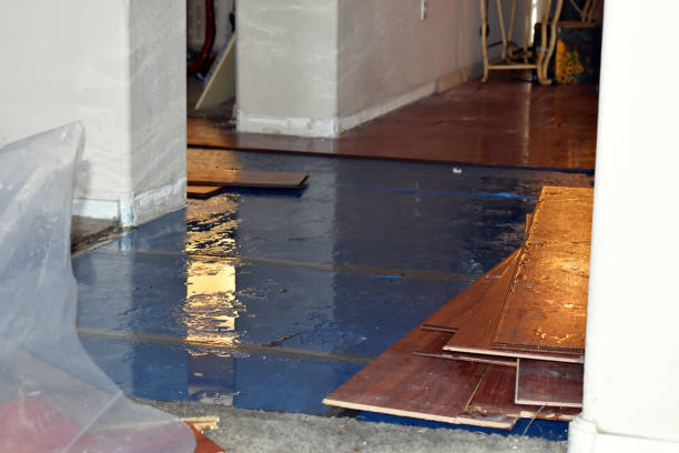 Professional Burst Pipe Cleanup technician working in Ridgewood, IL
